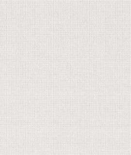 Screen White
