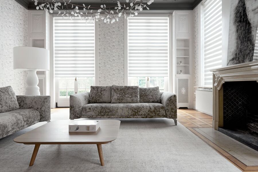 white day and night blinds